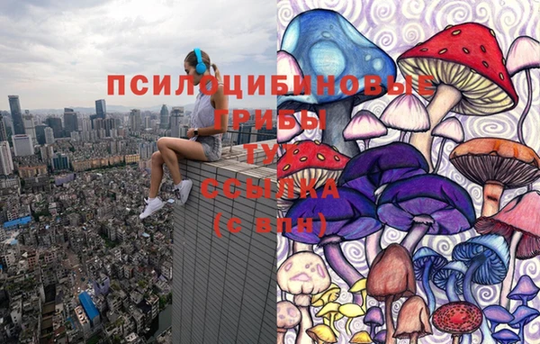 ECSTASY Балахна