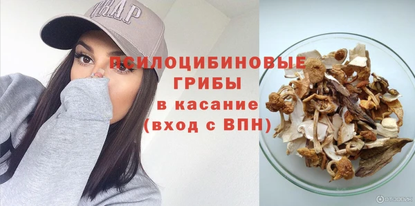 spice Аркадак